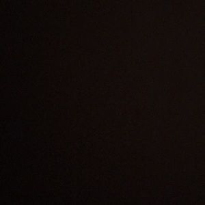 Meet your Posher, Rylie